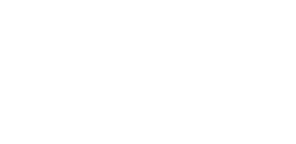 Liberty Mutual